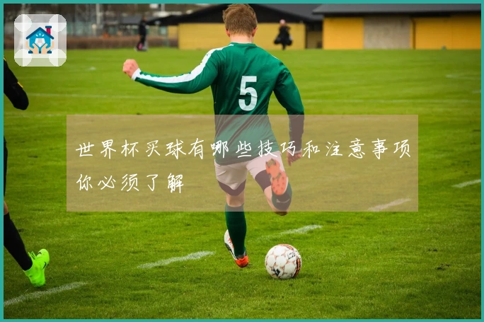 世界杯买球有哪些技巧和注意事项你必须了解