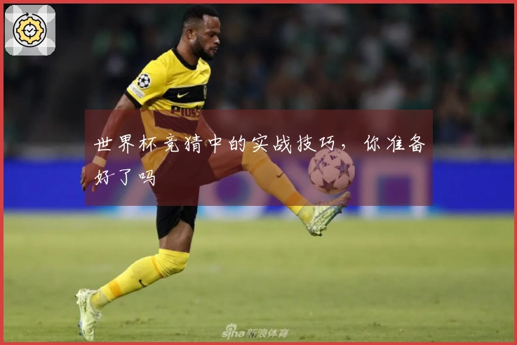 世界杯竞猜中的实战技巧，你准备好了吗