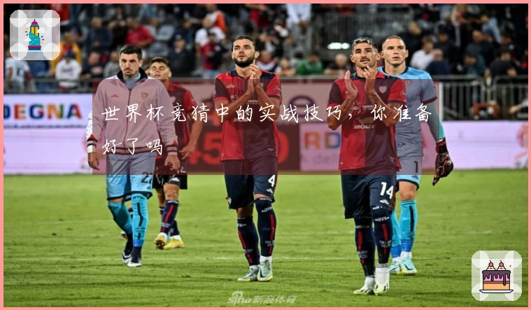 世界杯竞猜中的实战技巧，你准备好了吗