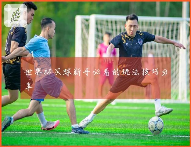 世界杯买球新手必看的玩法技巧分享