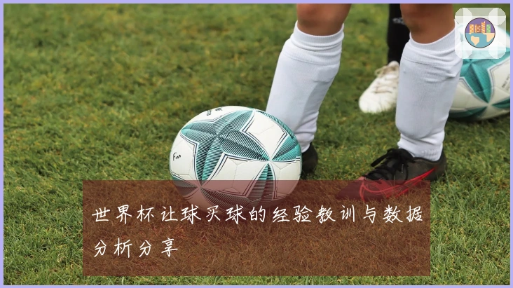 世界杯让球买球的经验教训与数据分析分享