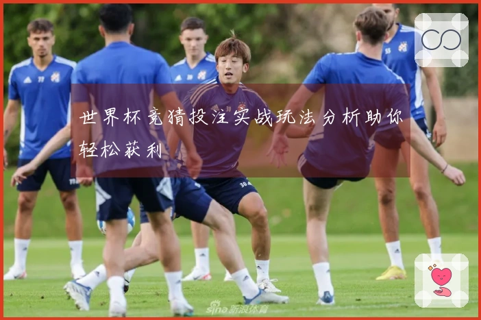 世界杯竞猜投注实战玩法分析助你轻松获利