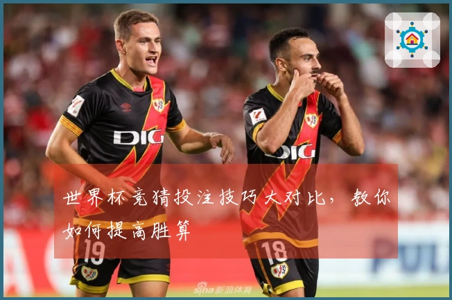 世界杯竞猜投注技巧大对比，教你如何提高胜算