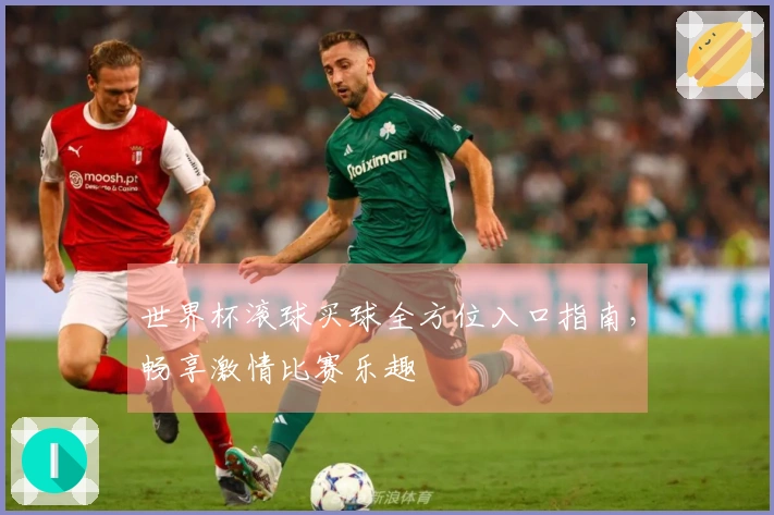 世界杯滚球买球全方位入口指南，畅享激情比赛乐趣