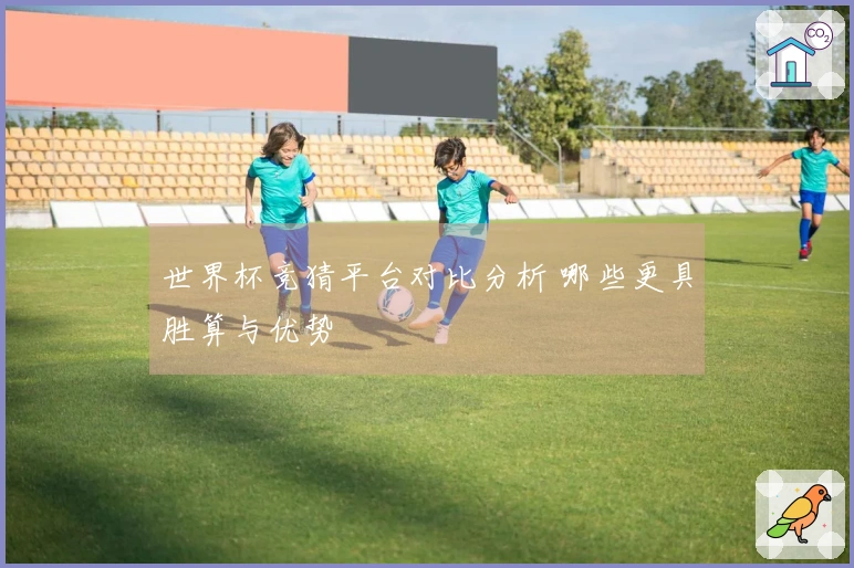 世界杯竞猜平台对比分析 哪些更具胜算与优势