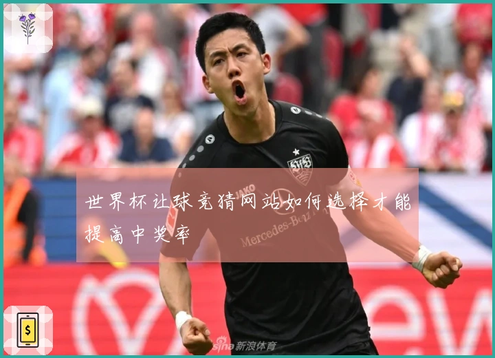 世界杯让球竞猜网站如何选择才能提高中奖率