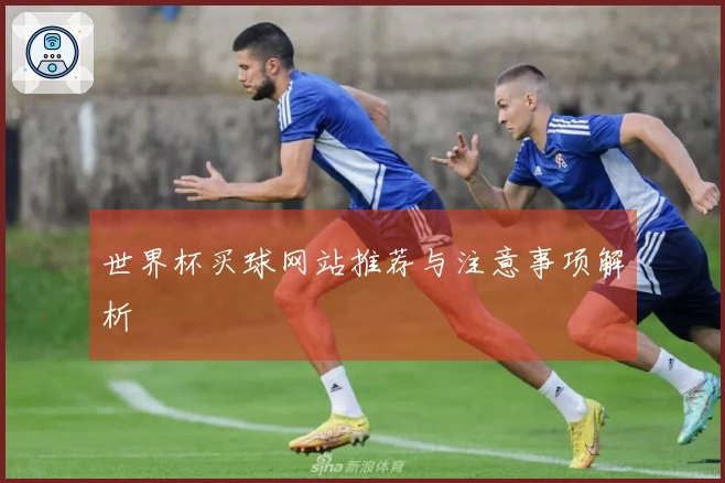世界杯买球网站推荐与注意事项解析