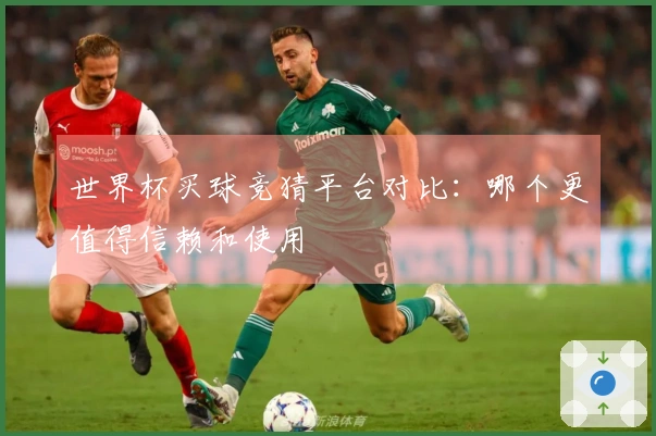 世界杯买球竞猜平台对比：哪个更值得信赖和使用