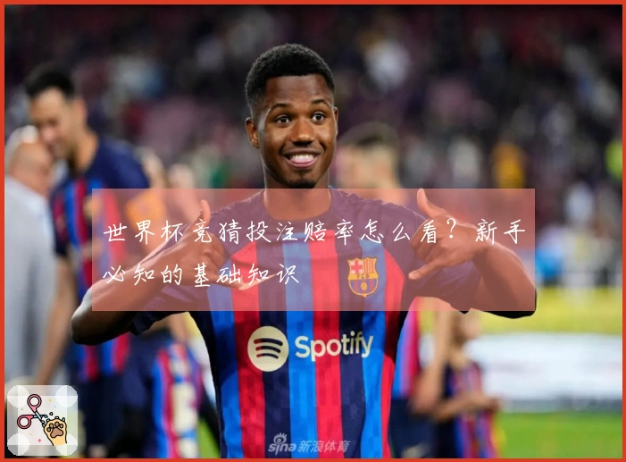 世界杯竞猜投注赔率怎么看？新手必知的基础知识