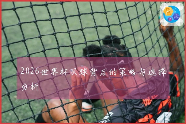 2026世界杯买球背后的策略与选择分析