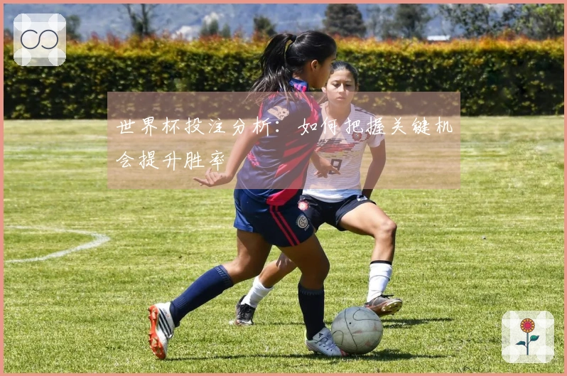 世界杯投注分析：如何把握关键机会提升胜率