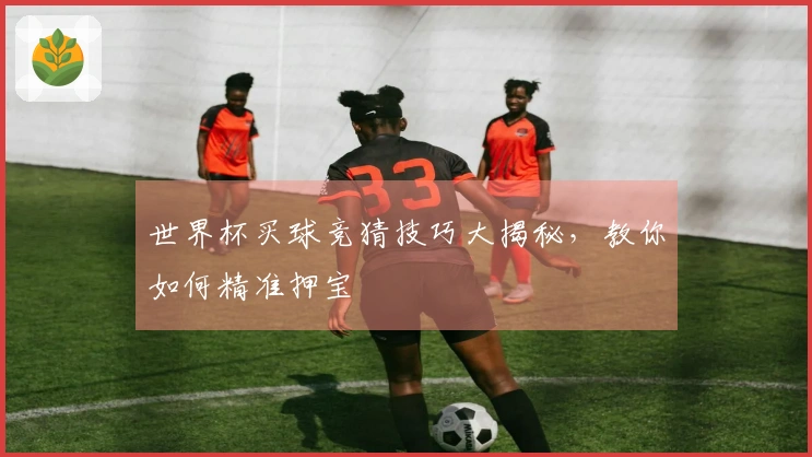 世界杯买球竞猜技巧大揭秘，教你如何精准押宝