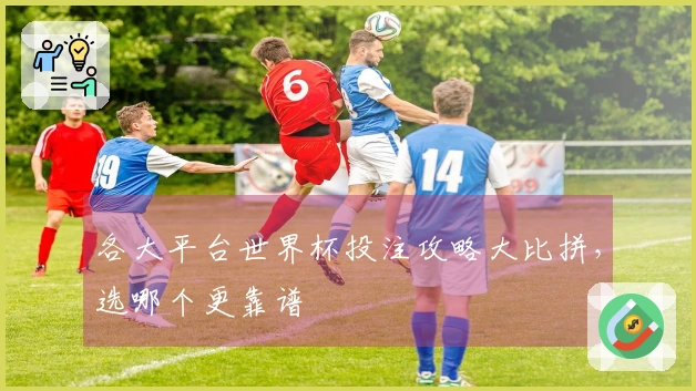各大平台世界杯投注攻略大比拼，选哪个更靠谱