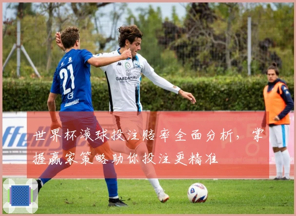 世界杯滚球投注赔率全面分析，掌握赢家策略助你投注更精准