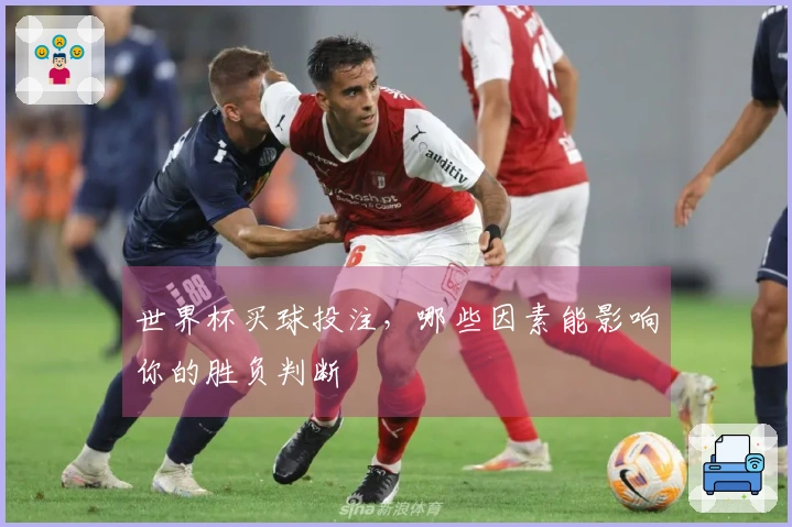 世界杯买球投注，哪些因素能影响你的胜负判断