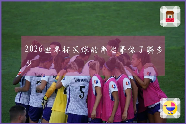2026世界杯买球的那些事你了解多少