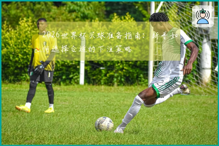 2026世界杯买球准备指南：新手如何选择合适的下注策略